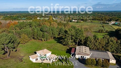   Propri�t� Equestre sur plus de 4 hectares avec habitation de 137 M� Propri�t�/ch�teau - 5 pi�ce(s) - 137 m�