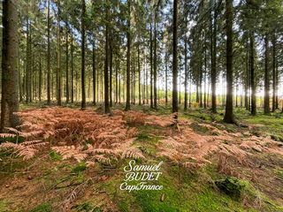  Terrain � vendre 793 m�