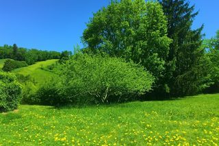  Terrain � vendre 905 m�