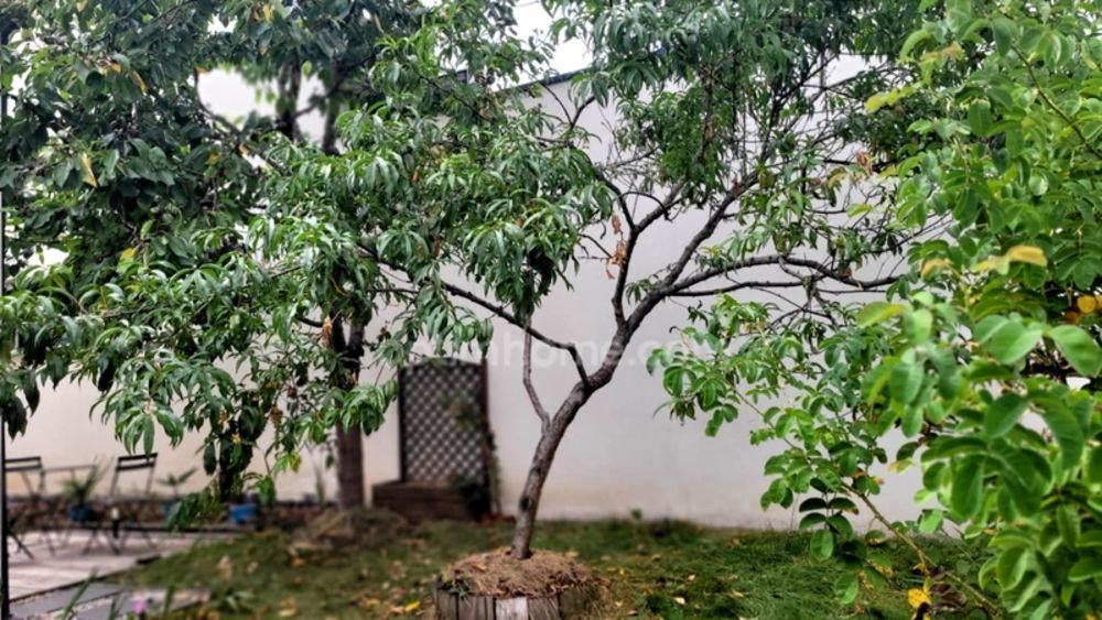 � vendre  Maison Auray (56400)