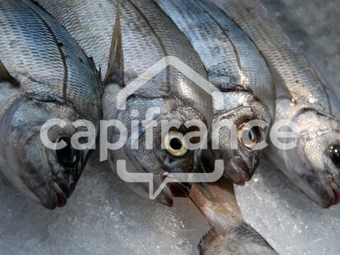 Dpt Charente Maritime (17), &agrave; vendre  Poissonnerie 535000 17200 Royan