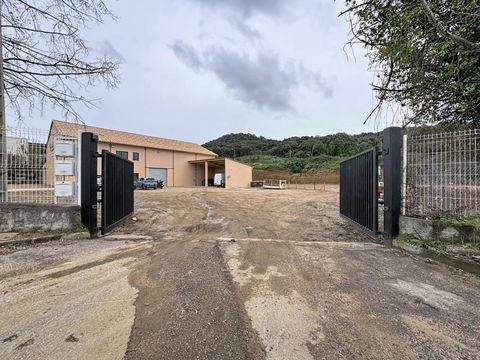 HANGAR SUARTELLO 5000 20000 Ajaccio