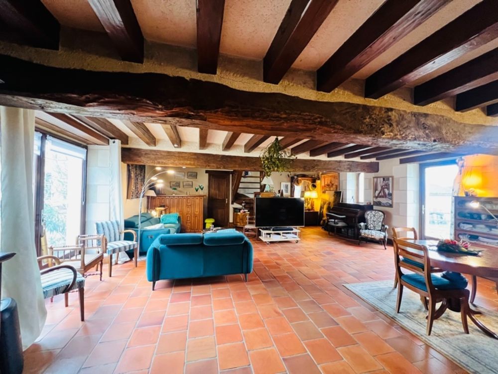 � vendre  Propri�t�/ch�teau Mondion (86230)