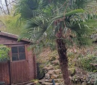  Appartement � louer 3 pi�ces 117 m�