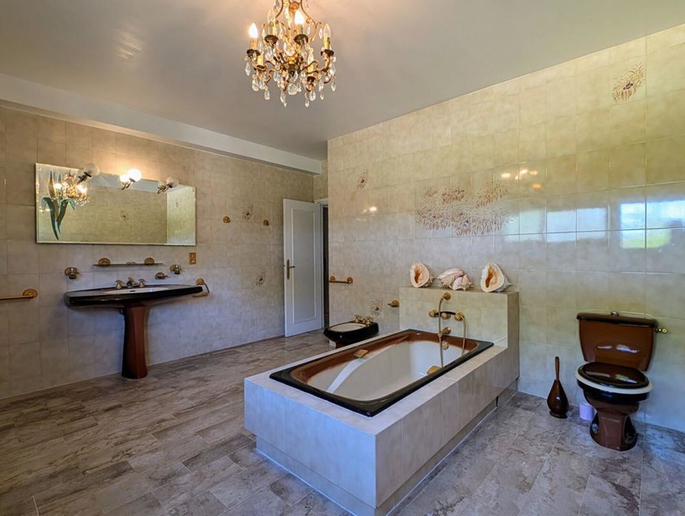 � vendre  Propri�t�/ch�teau Caz�res (31220)