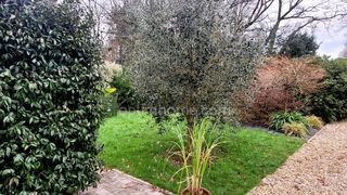  Maison � vendre 2 pi�ces 49 m�