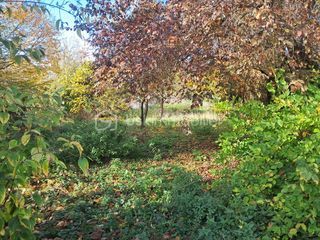  Maison � vendre 7 pi�ces 194 m�