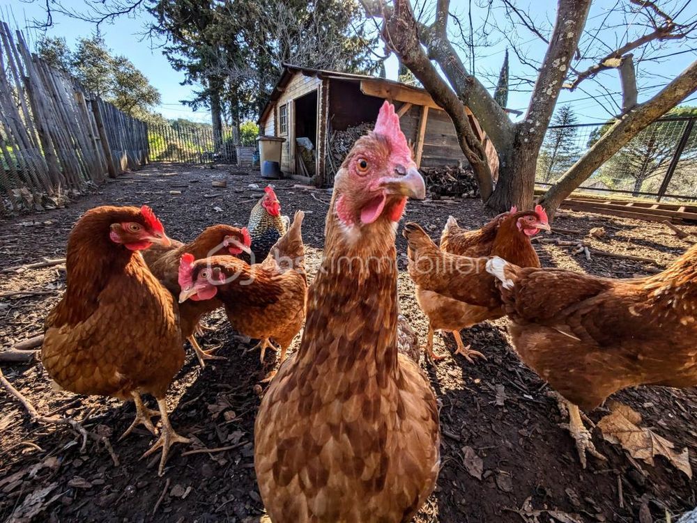 � vendre  Maison Villecroze (83690)