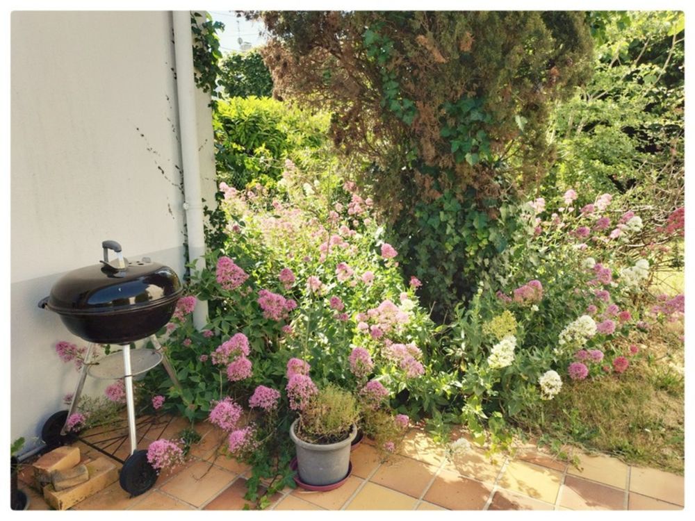 � vendre  Maison Vannes (56000)