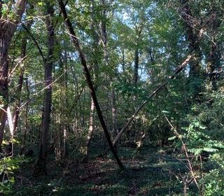  Terrain � vendre 2820 m�