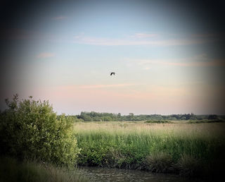  Maison � vendre 5 pi�ces 97 m�