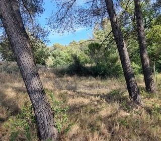  Terrain � vendre 1060 m�