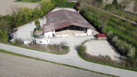   Etablissement �questre en activit� sur 9 ha - Is�re (38) Maison - 2 pi�ce(s) - 35 m�