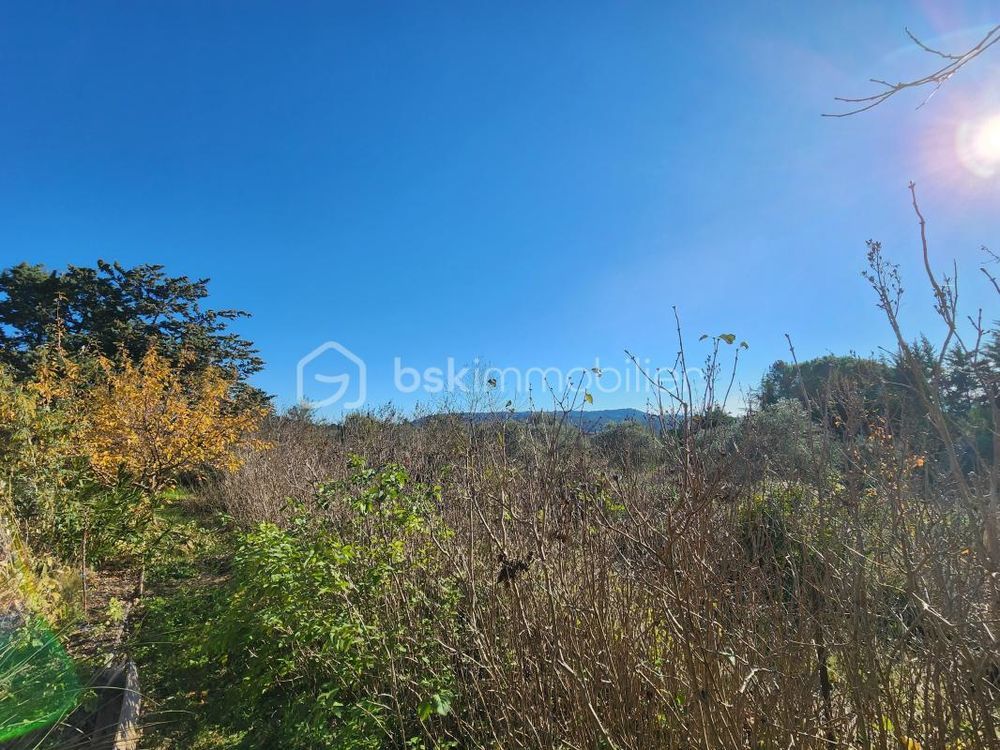 � vendre  Maison Puyvert (84160)