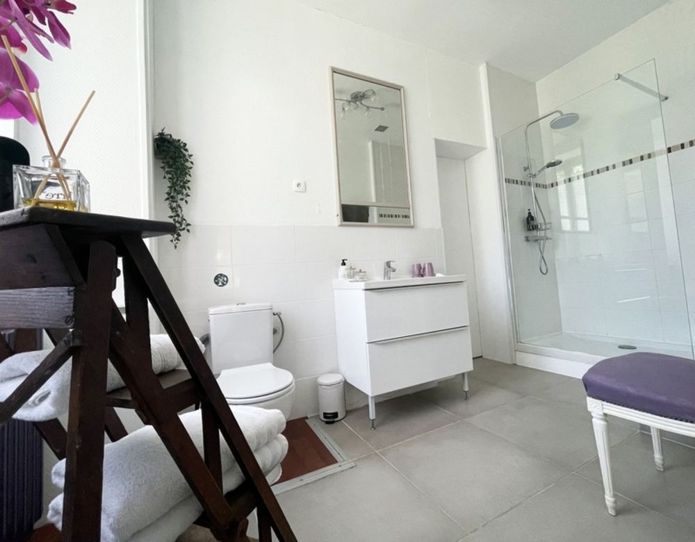 � vendre  Propri�t�/ch�teau Cognac (16100)