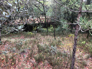  Terrain � vendre 900 m�