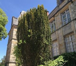  Propri�t�/ch�teau � vendre 15 + pi�ces 450 m�