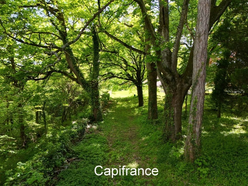 � vendre  Propri�t�/ch�teau Eyzin-Pinet (38780)