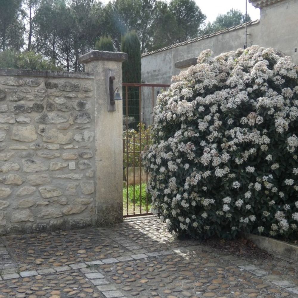 � vendre  Maison Saint-R�my-de-Provence (13210)