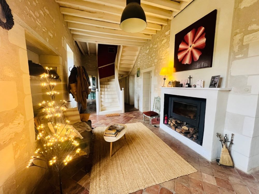 � vendre  Propri�t�/ch�teau Les Ormes (86220)