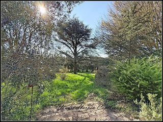  Maison � vendre 8 pi�ces 220 m�