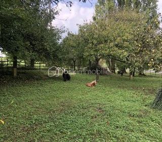  Remise / Grange � vendre 1 pi�ce 280 m�