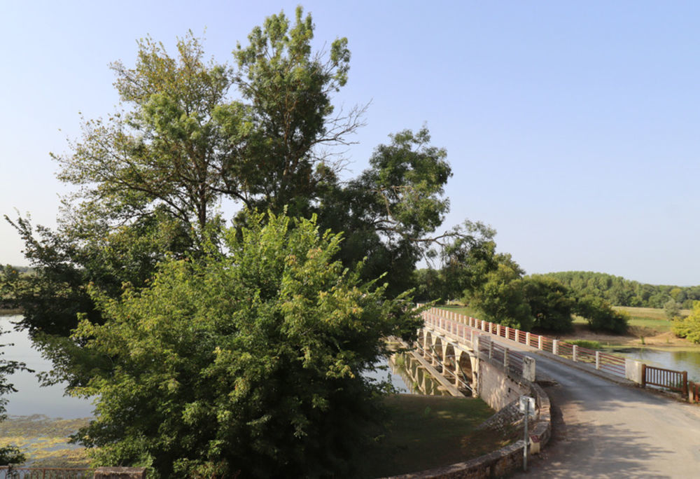 � vendre  Propri�t�/ch�teau La Truch�re (71290)