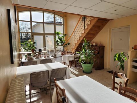   Maison de maitre, moulin, chambres d'h�tes, studio, gites, mara�chage Propri�t�/ch�teau - 15 + pi�ce(s) - 530 m�