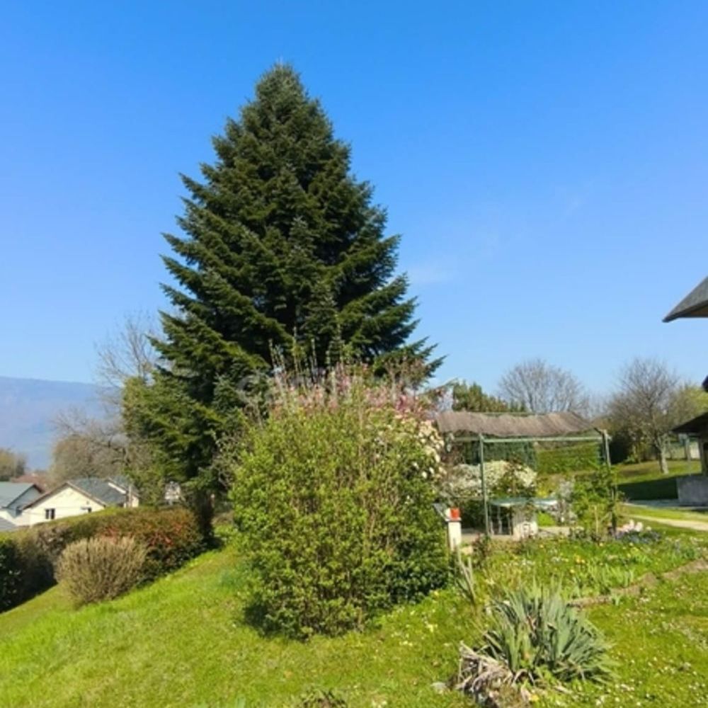 � vendre  Maison Chamb�ry (73000)