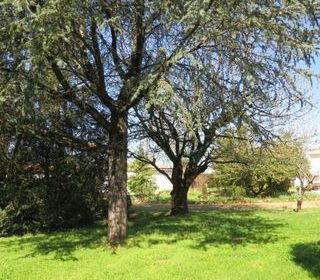  Maison � vendre 8 pi�ces 180 m�