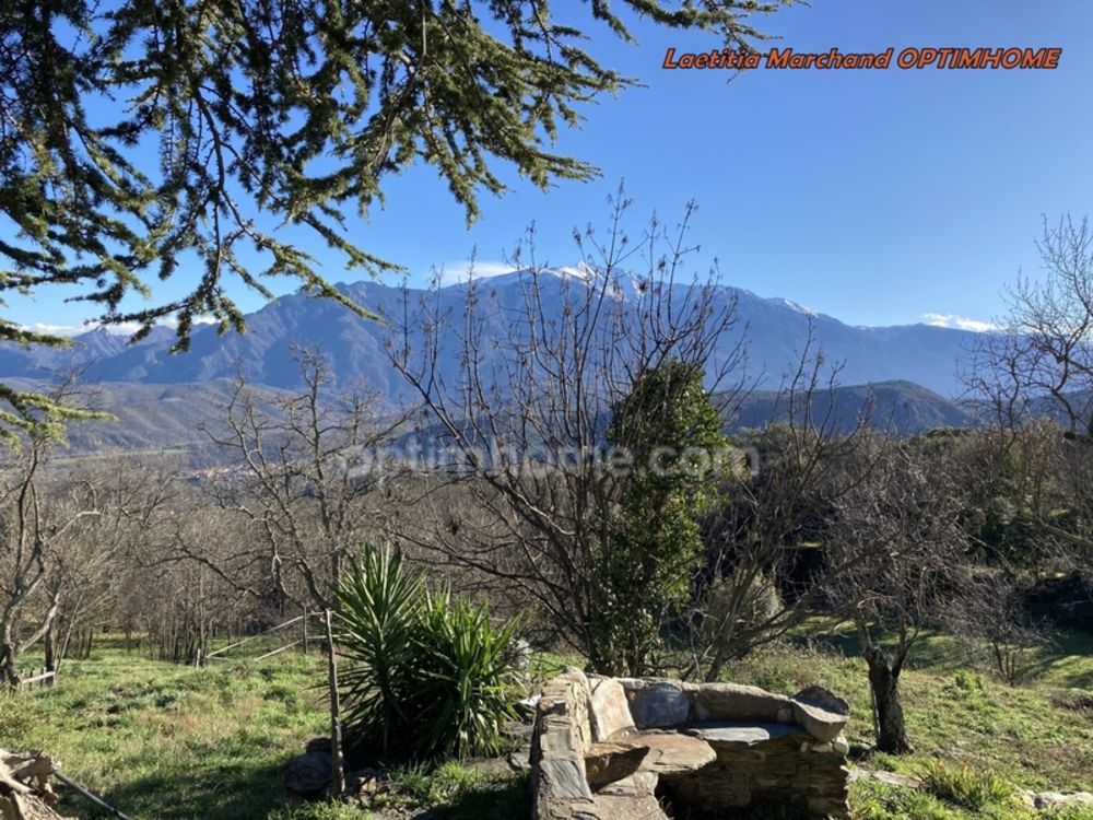 � vendre  Maison Prades (66500)