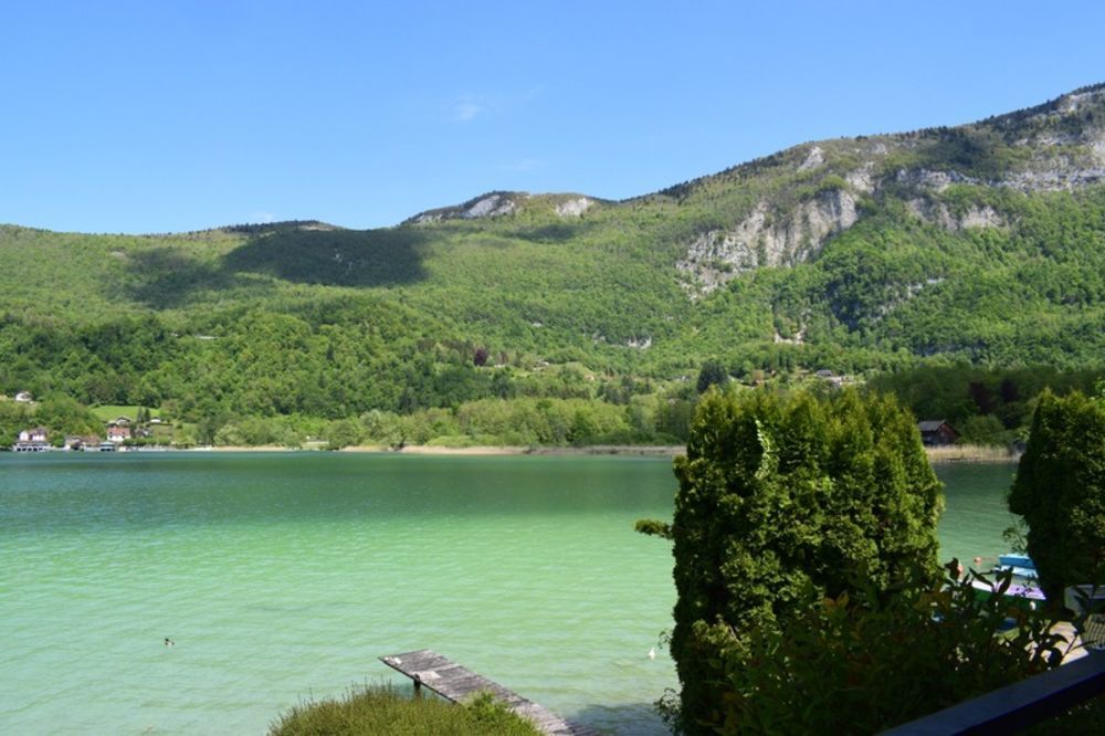 � vendre  Propri�t�/ch�teau L�pin-le-Lac (73610)