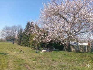  Maison � vendre 8 pi�ces 186 m�