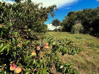  Terrain � vendre 8400 m�