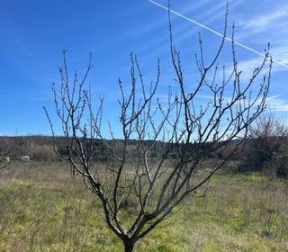  Terrain � vendre 2600 m�