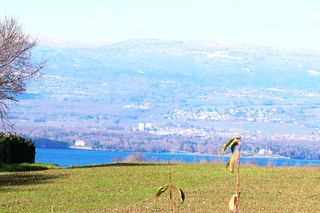  Maison � vendre 6 pi�ces 180 m�