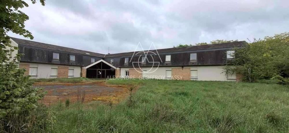 � vendre  Propri�t�/ch�teau Tours (37000)