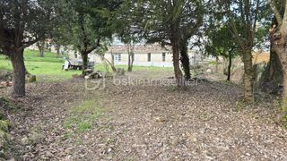  Maison � vendre 7 pi�ces 291 m�