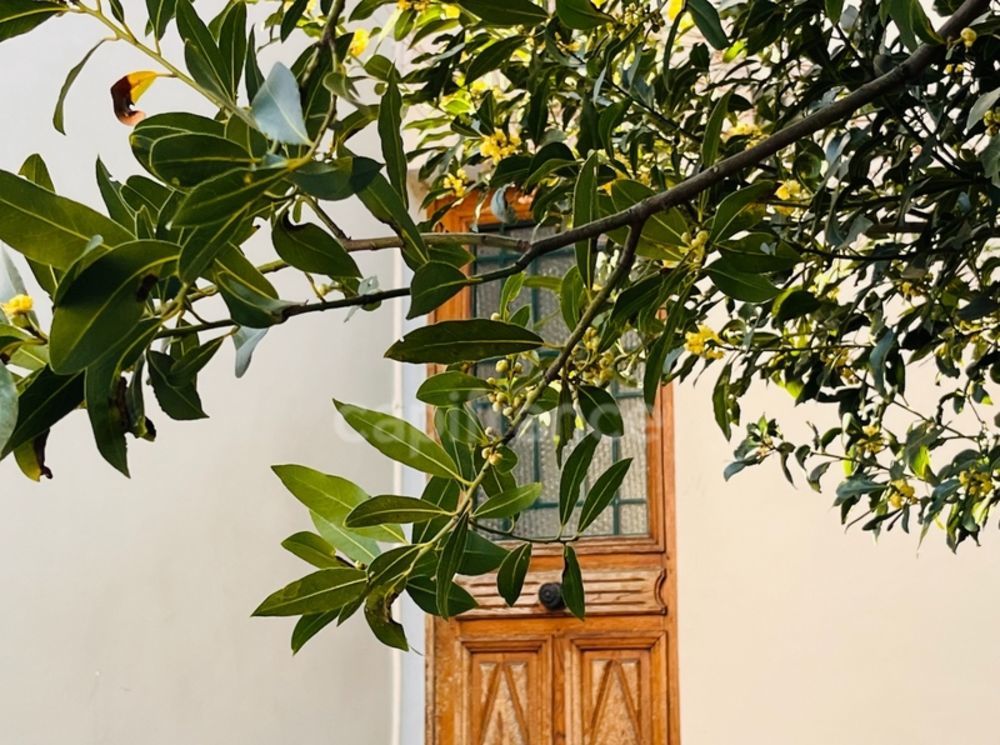 � vendre  Maison Colombes (92700)