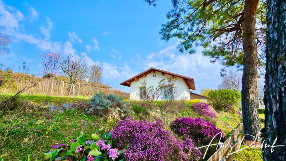 � vendre  Maison Annecy (74000)