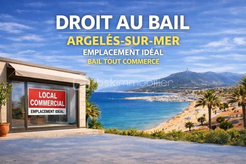 &Agrave; vendre -Argeles sur mer- Local commercial 190m&sup2; - 55 000� - Zone commerciale 55000 66700 Argeles sur mer