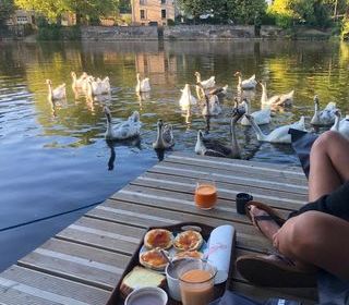  Propri�t�/ch�teau � vendre 11 pi�ces 237 m�