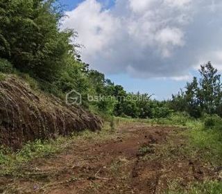  Terrain � vendre 2063 m�