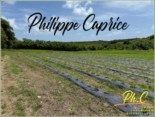  Terrain � vendre 2000 m�