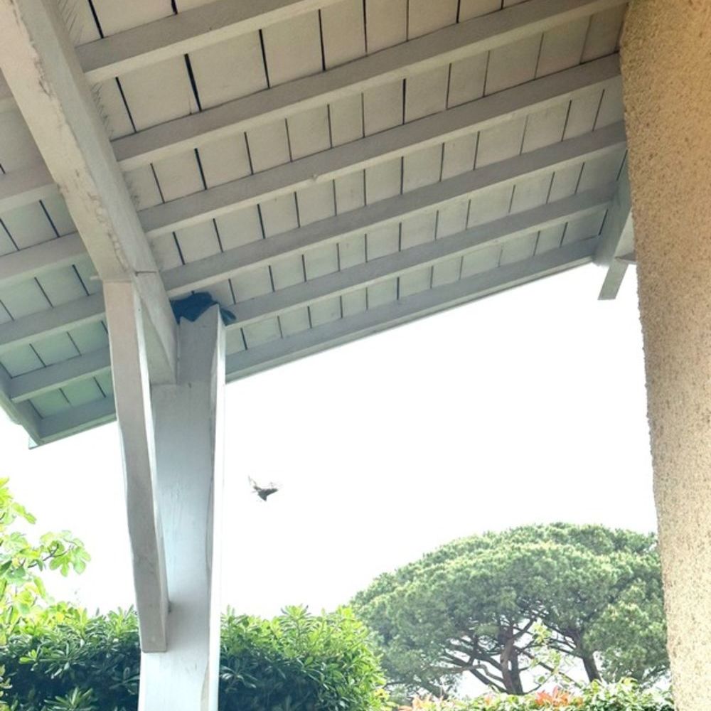 � vendre  Maison Andernos-les-Bains (33510)