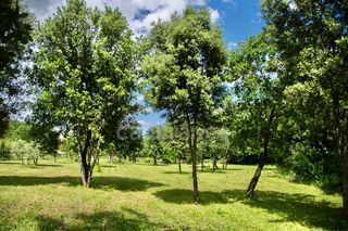  Propri�t�/ch�teau � vendre 15 + pi�ces 440 m�