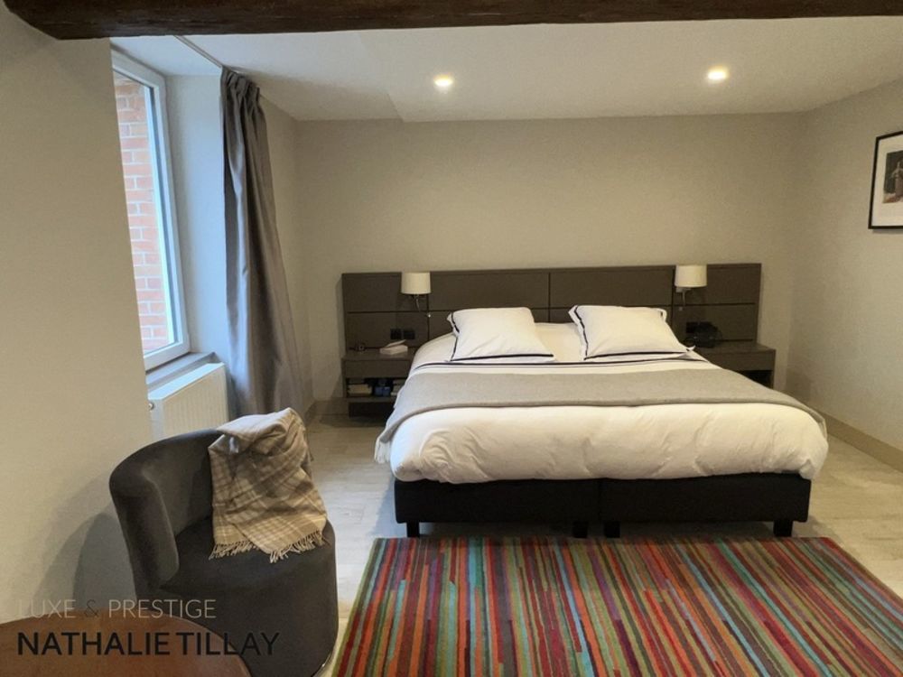 � vendre  Propri�t�/ch�teau Gidy (45520)