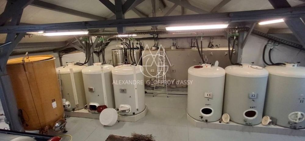 � vendre  Propri�t�/ch�teau Chenonceaux (37150)