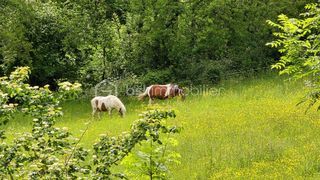  Maison � vendre 8 pi�ces 180 m�