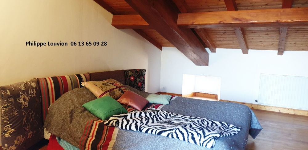 � vendre  Propri�t�/ch�teau Mons�gur (33580)